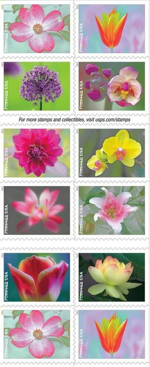 20 Self-Stick First Class Postage Stamps L417