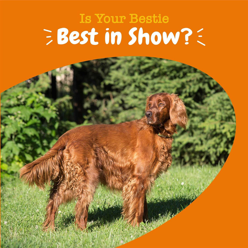 Omega Bites for Dogs J76577
