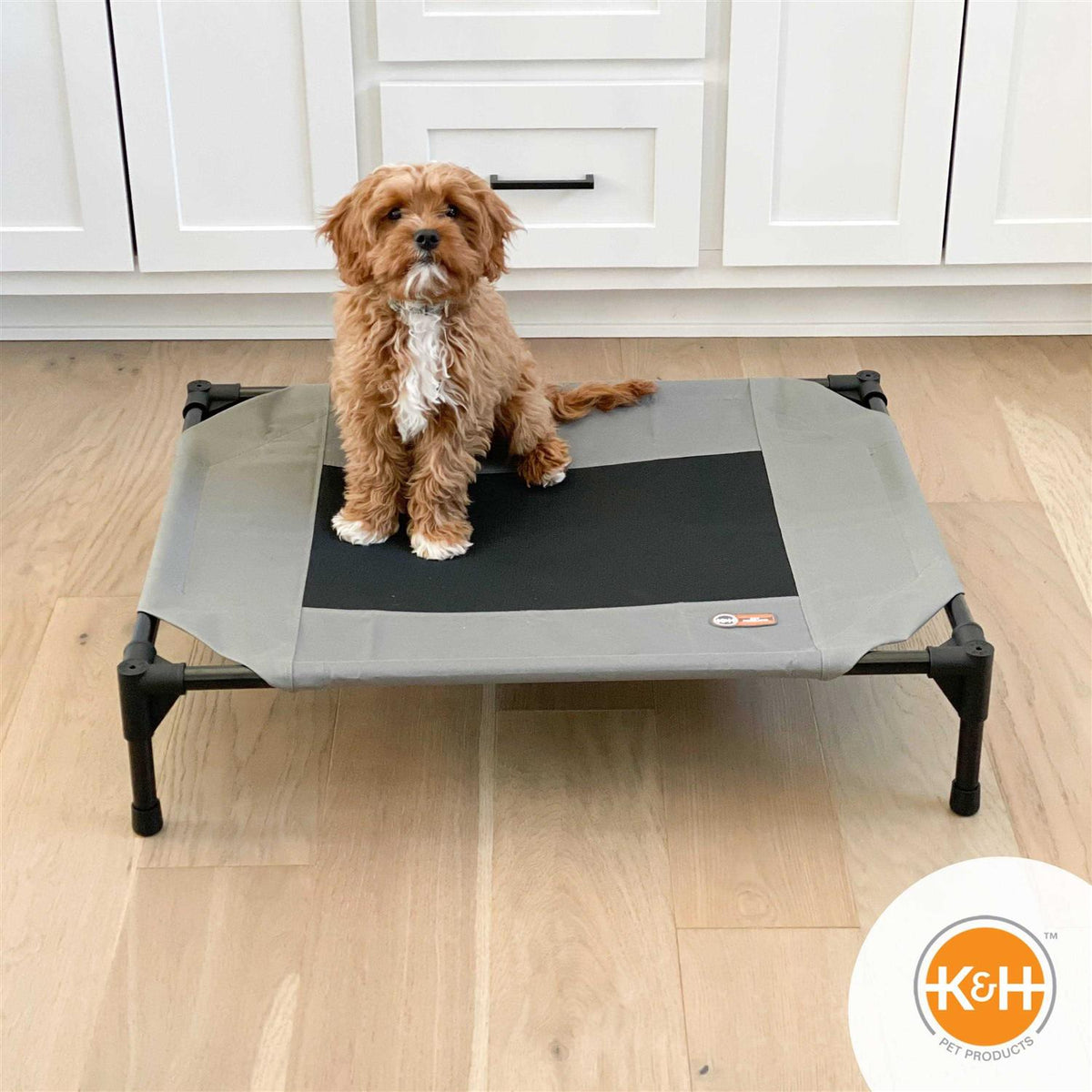 Elevated Pet Cot N46860
