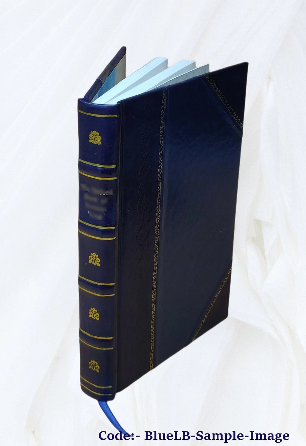 English Lessons Book F8278