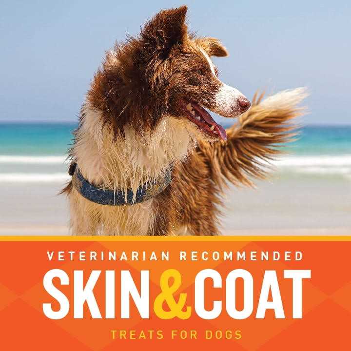 Skin & Coat Soft Chews J7989