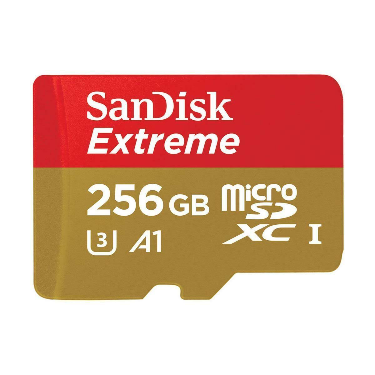 256 GB MicroSDXC Memory Card with SD Adapter R20043