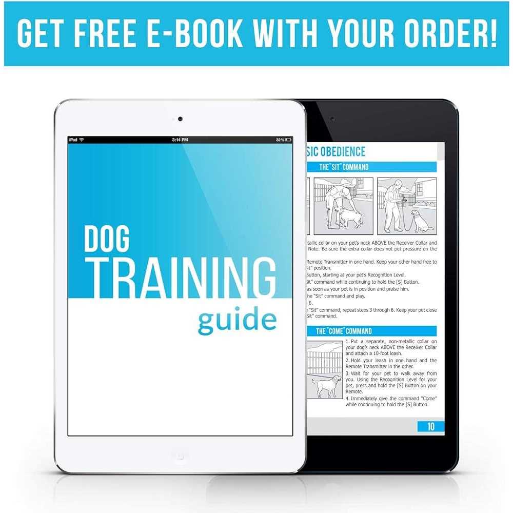 Dual Dog Training Shock Collar for 2 Dogs E266