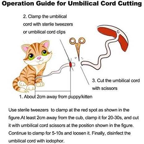 12pcs Whelping Kit with Whelping Collars and Puppy Feeding Tube T940789