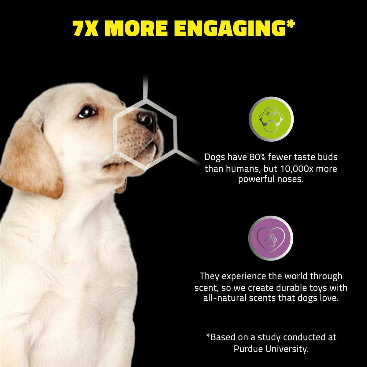 Sensory Ball Dog Toy B912127