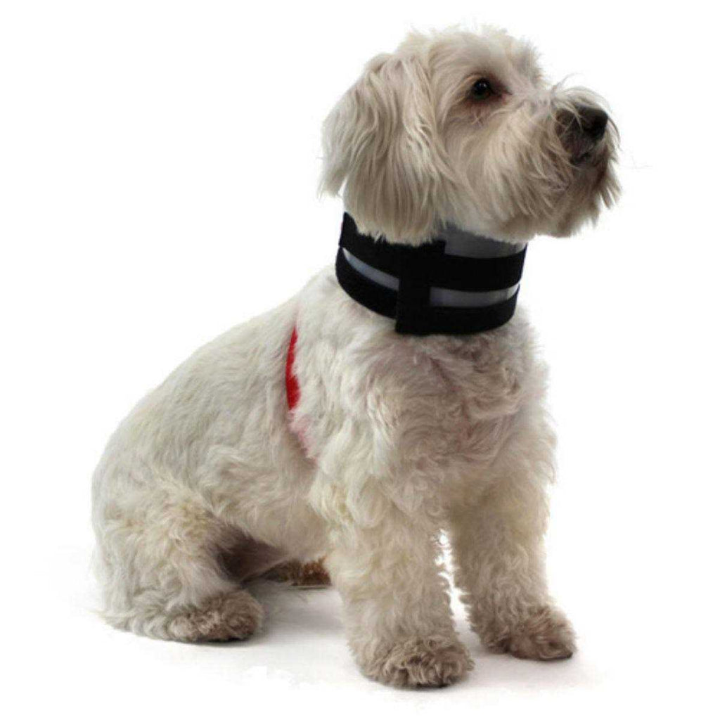 Collar Q877724