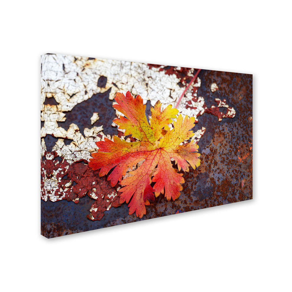 Autumn Rust Canvas Art J25765