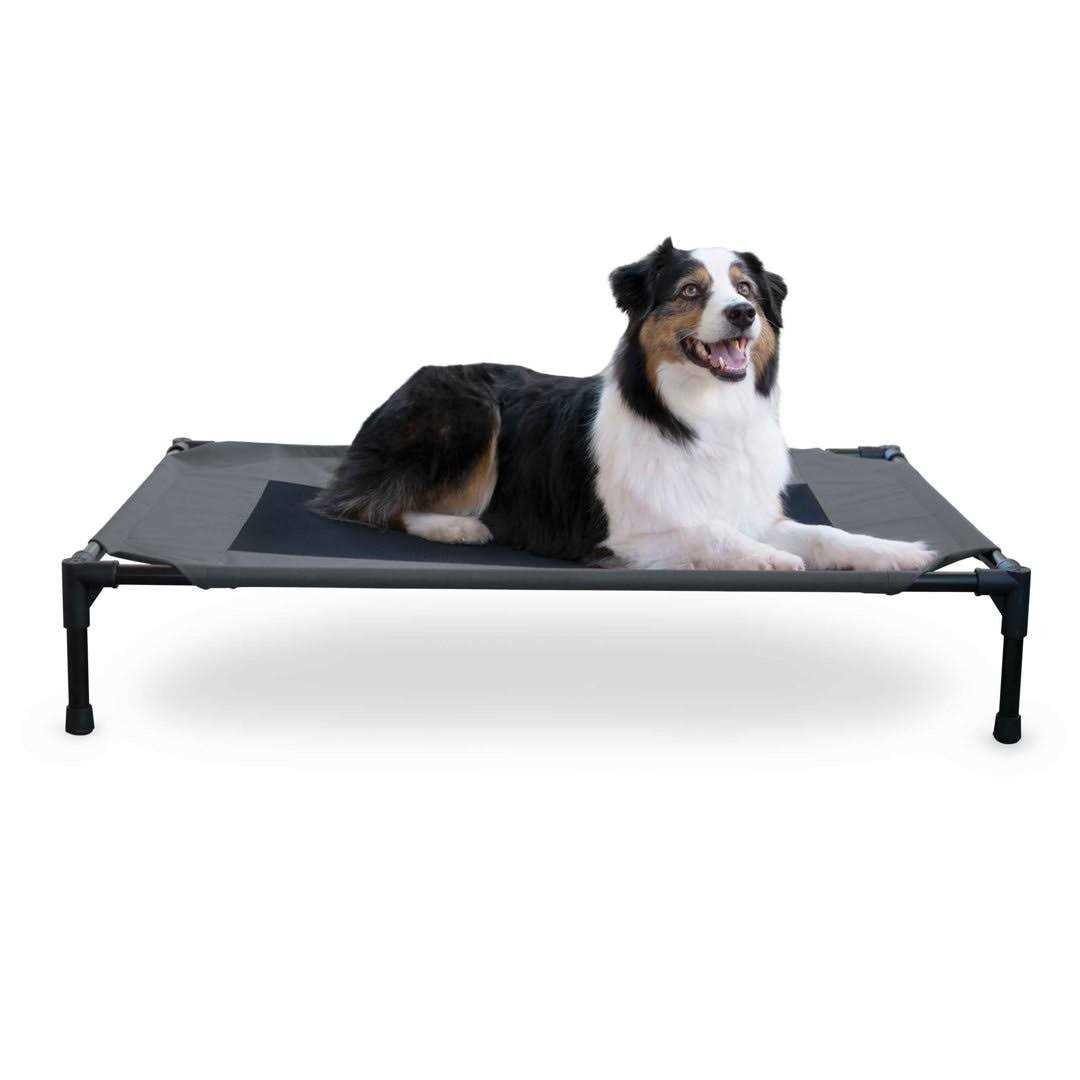 Elevated Pet Cot N46860