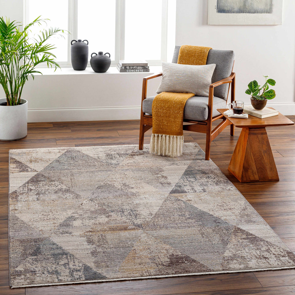 Multi Gray Brown Area Rug K485