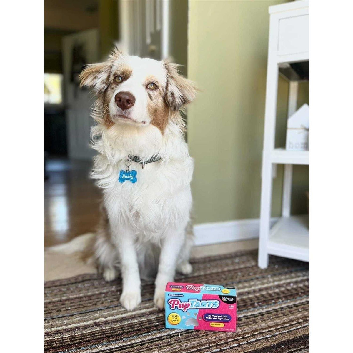 Dog Treats K156313