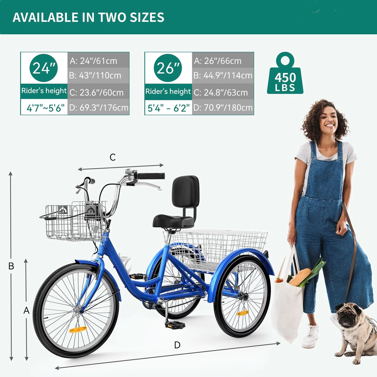 Blue 26 Adult Tricycle 3 Wheel Bike R631