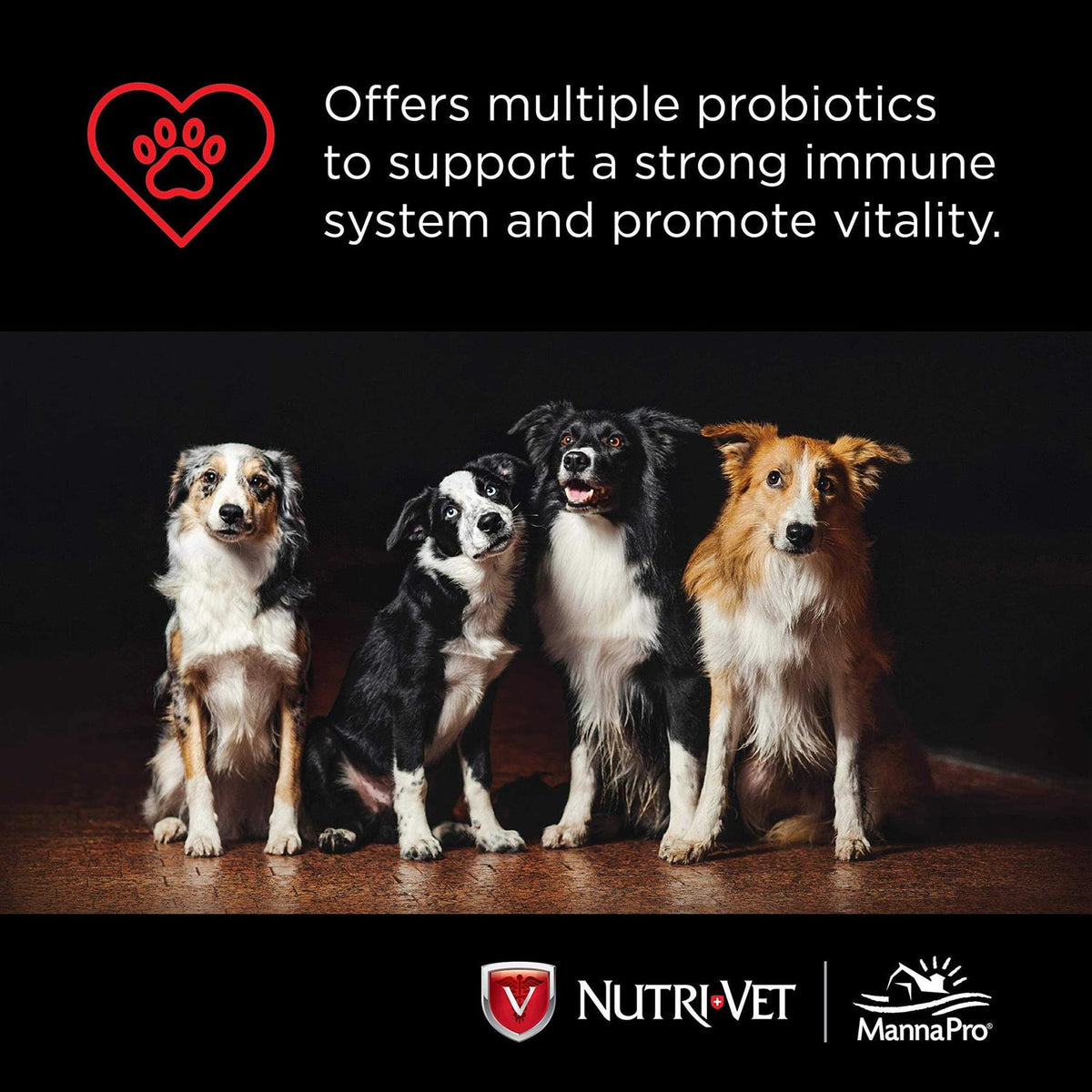 Probiotics for Dogs O454