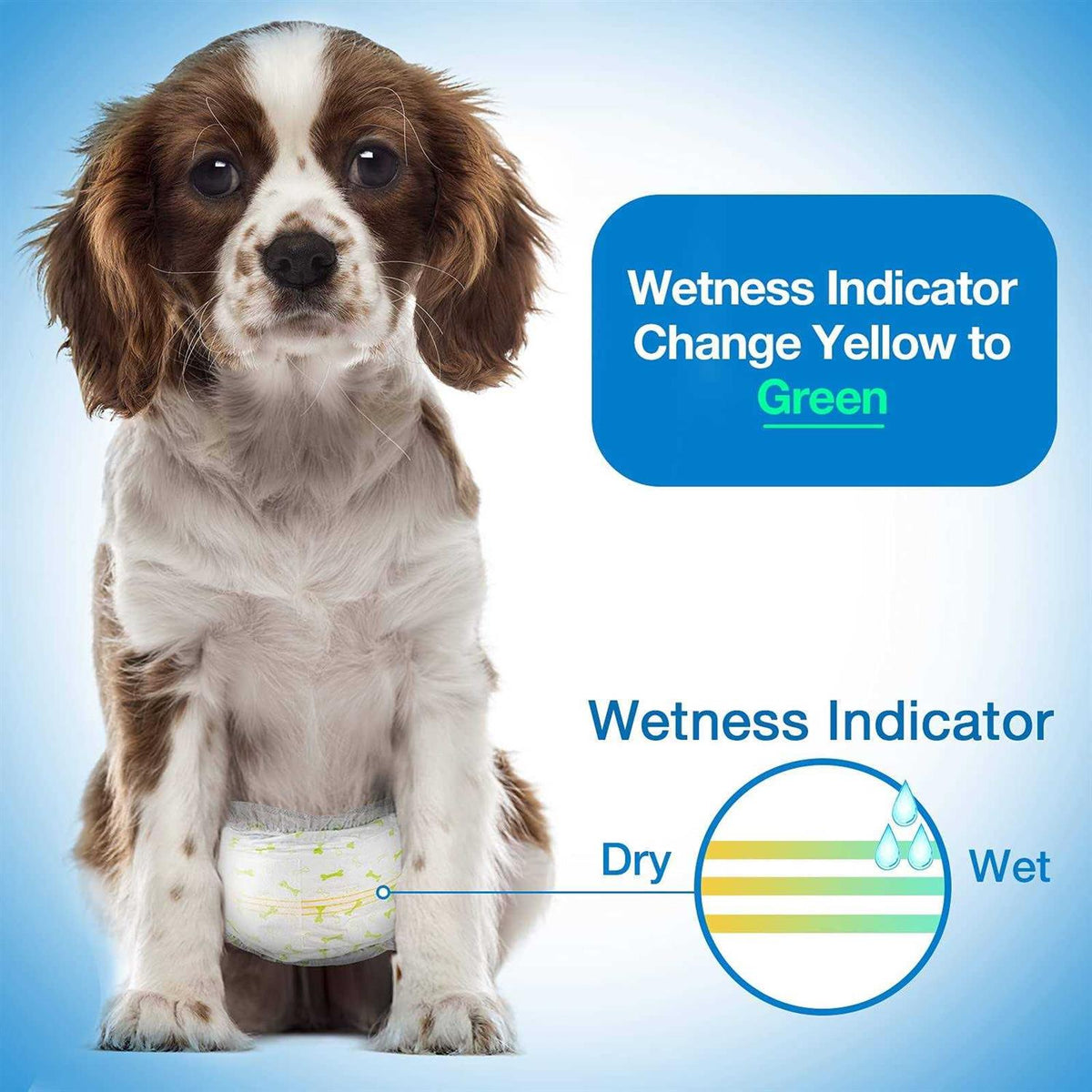Soft Disposable Male Dog Wraps Z934