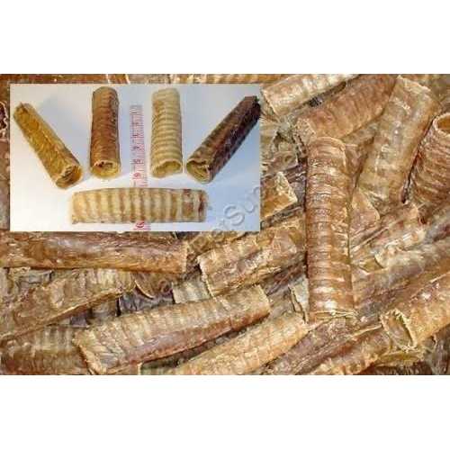Beef Trachea 6 inch C318798