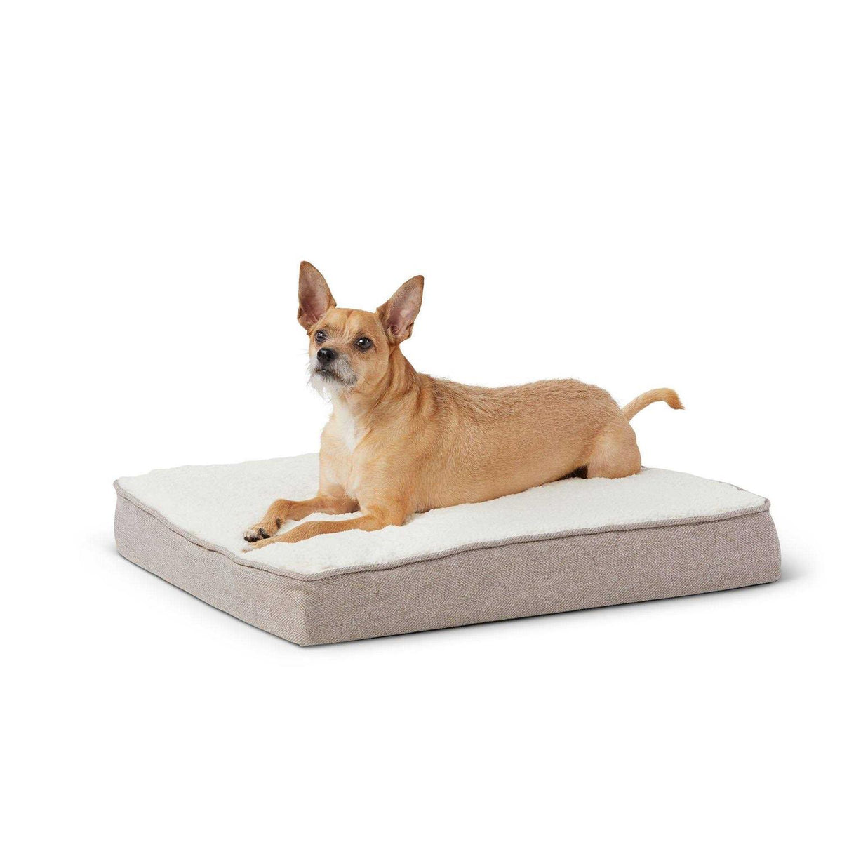 Orthopedic Dog Bed V78119