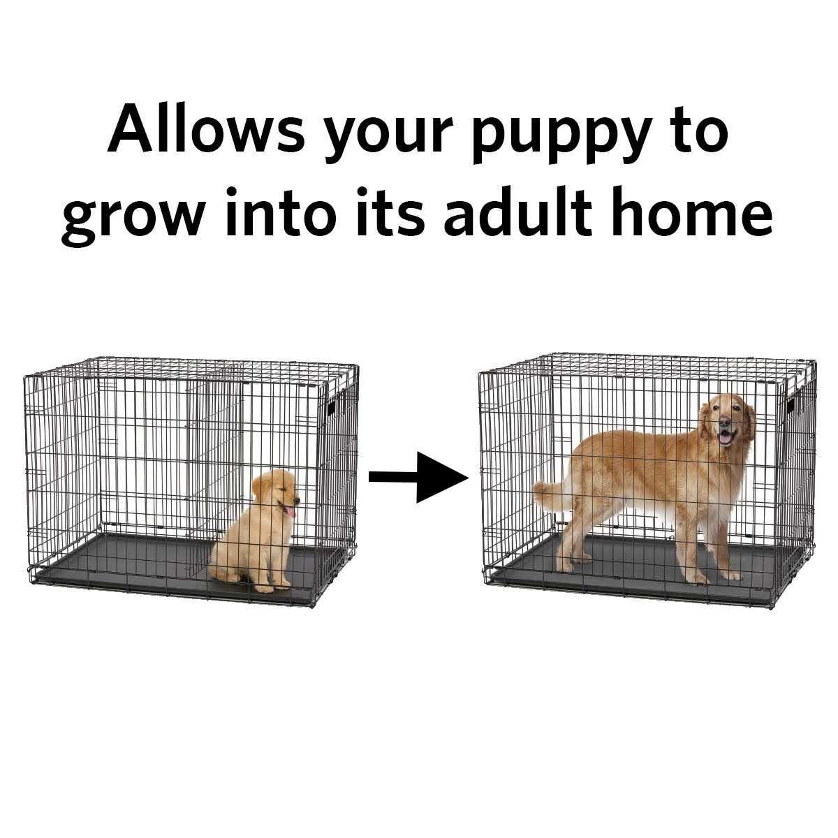 Pet Divider Panel N2597