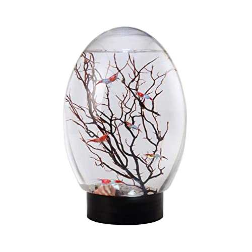 Mini Ecological Fish Tank, Closed Aquatic Ecosphere Desktop Aquarium with Led Base S257417