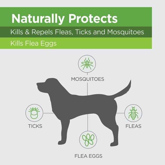 Flea & Tick Topicals for Dogs D908309