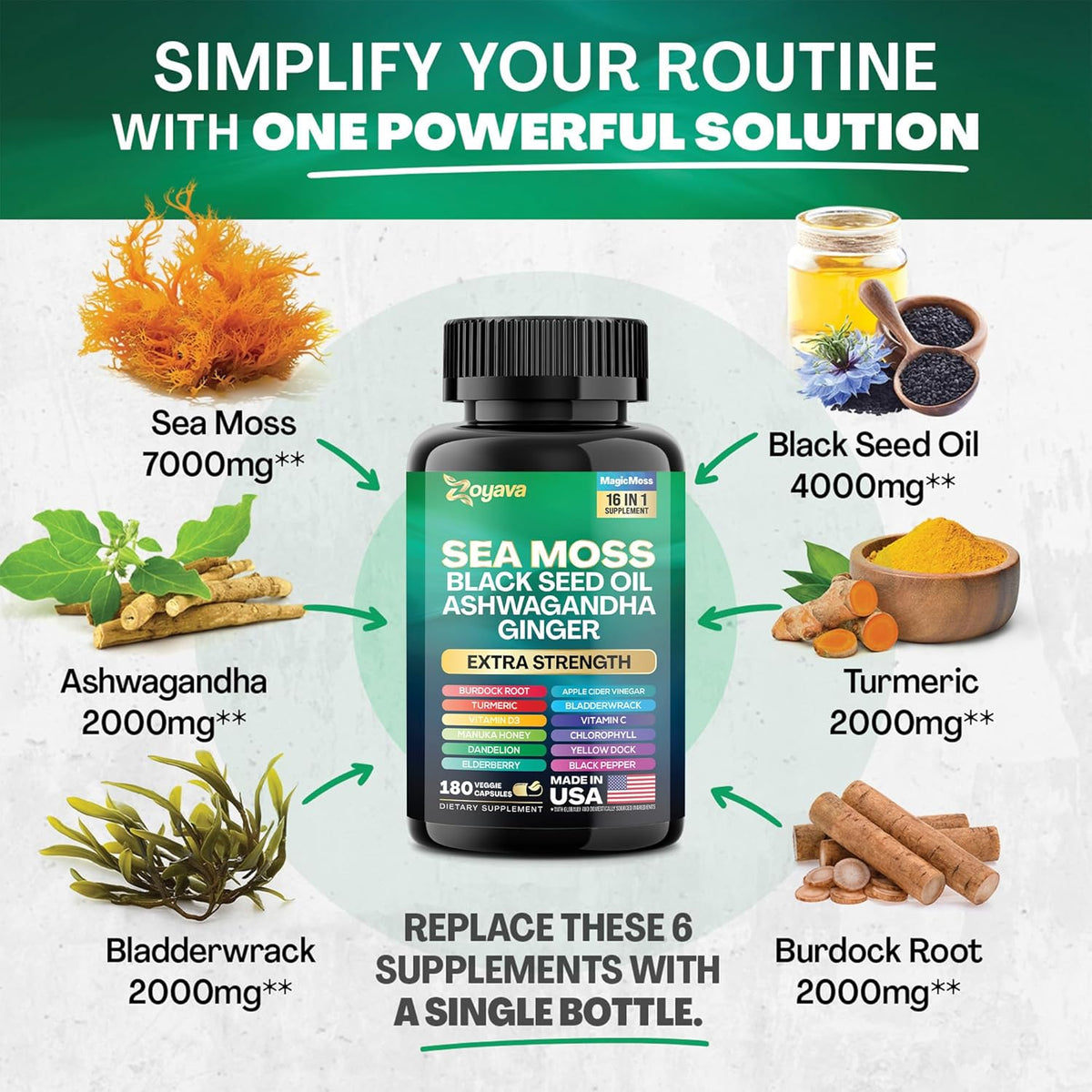 16-in-1 Supplement Bundle U128910