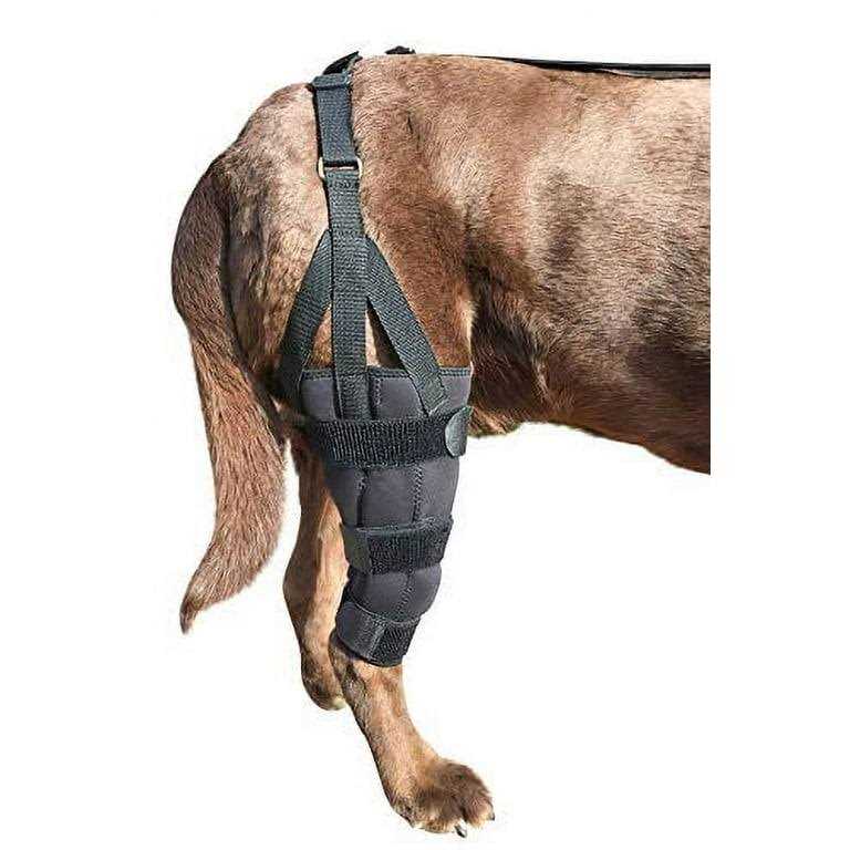 Metal Hinged Knee Brace for Dogs J2307