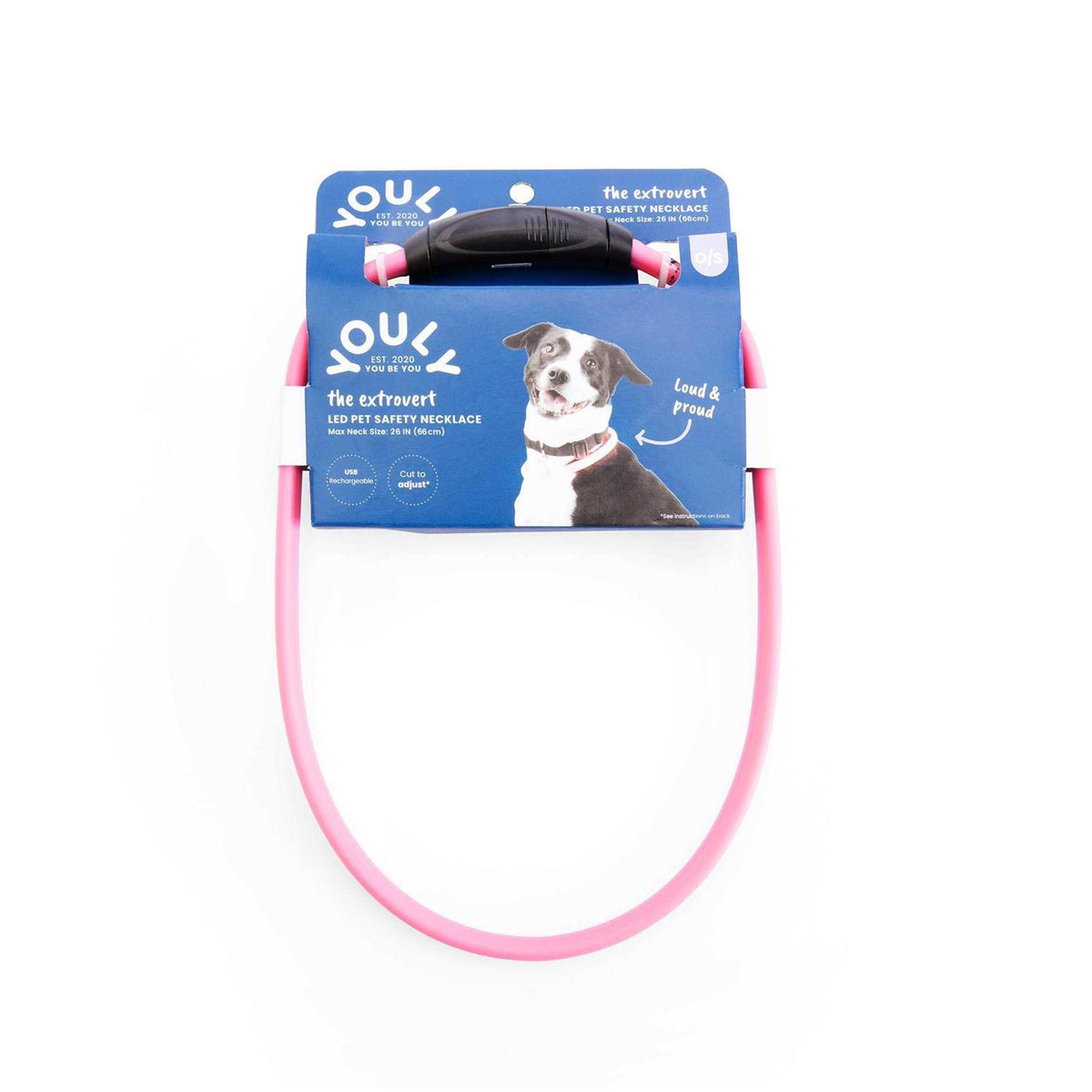 LED Pet Safety Necklace T2388