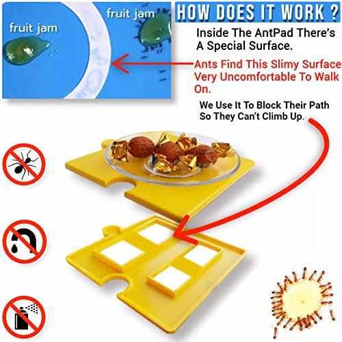 Ant Proof Pet Bowl T18075