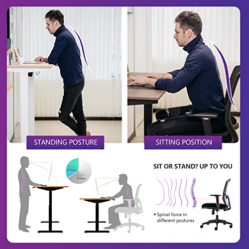 Electric Standing Desk 48 x 24 Inch Height Adjustable Sit Stand Desk with Splice Board S47457