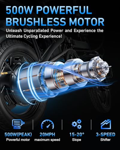 Electric Bike with 500W Motor and Removable Battery V71276