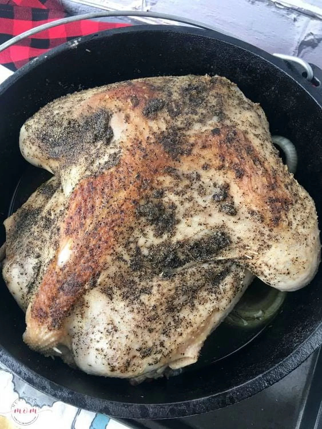 Cast Iron 5 Quart Seasoned Dutch Oven with Bail Handle S292