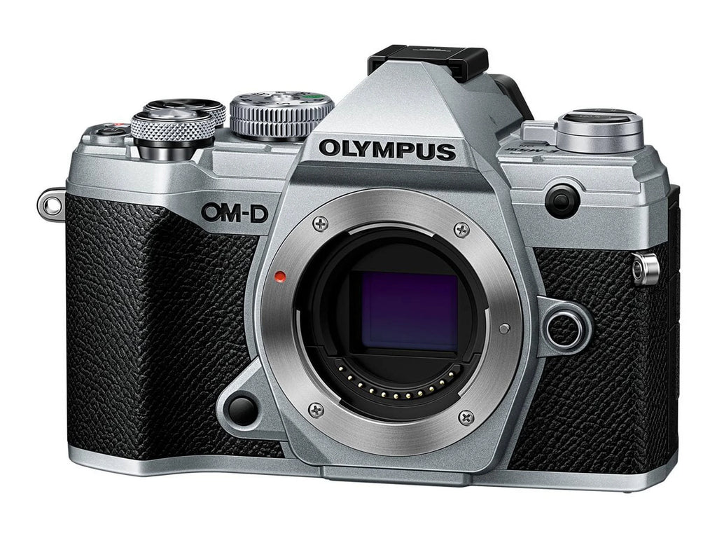 Silver Mirrorless Camera with Lens U22258