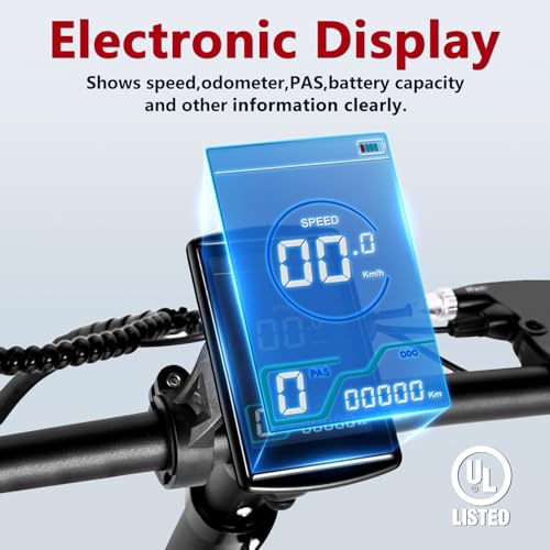 Electric Bike with 500W Motor and Removable Battery V71276