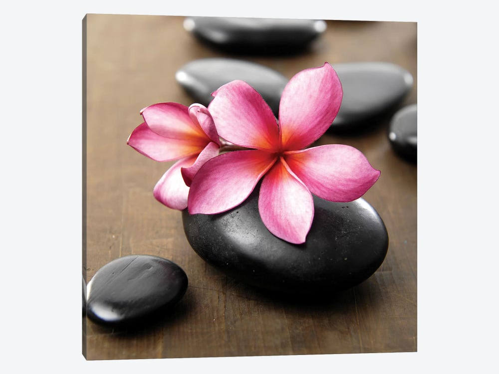 Zen Pebbles Canvas Art Picture N449