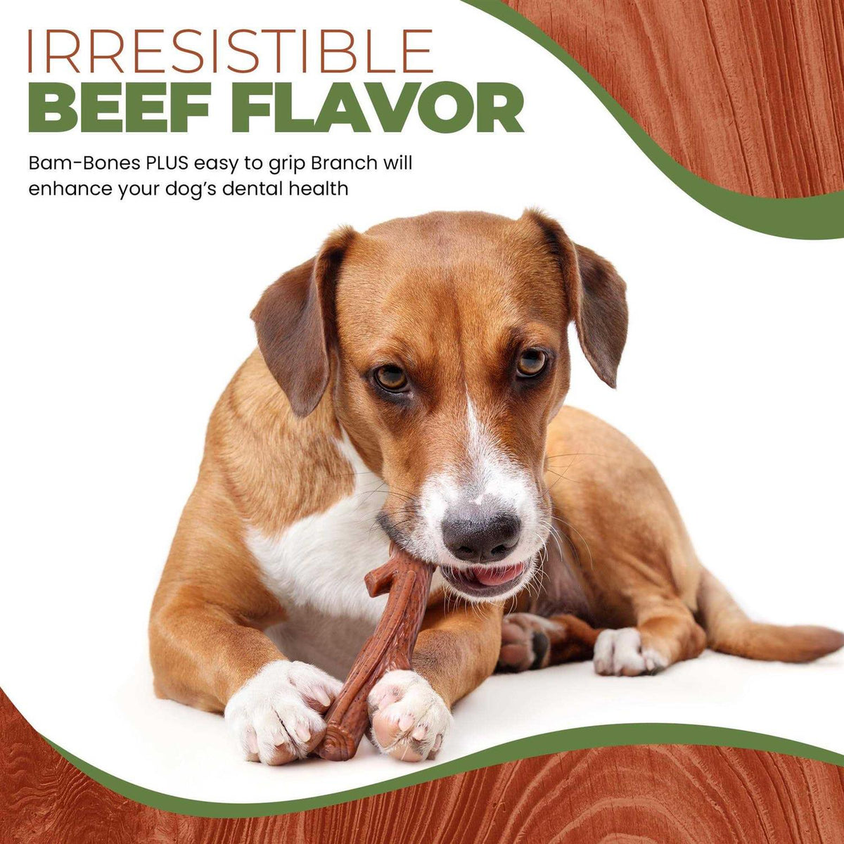 Branch Beef Dog Toy W943