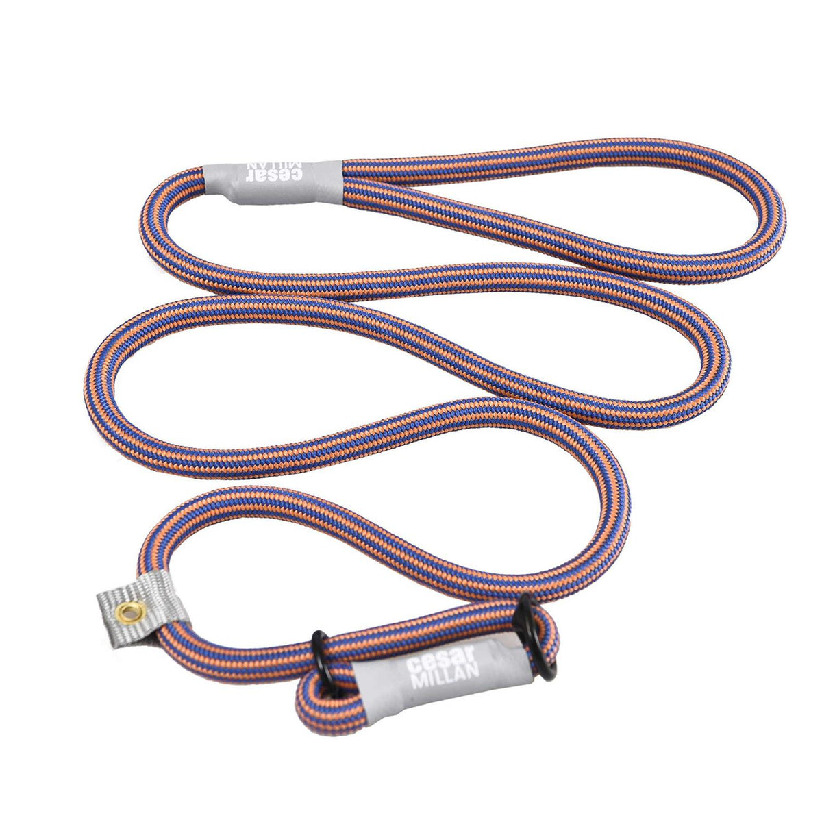 2-in-1 Slip Collar Dog Training Lead & Collar F8573
