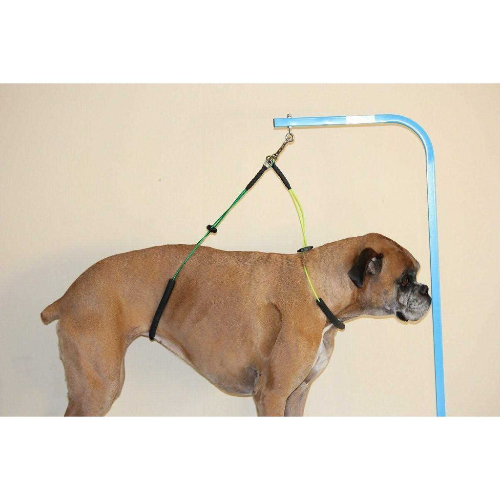 No Sit Dog Grooming Loop Restraint H39074
