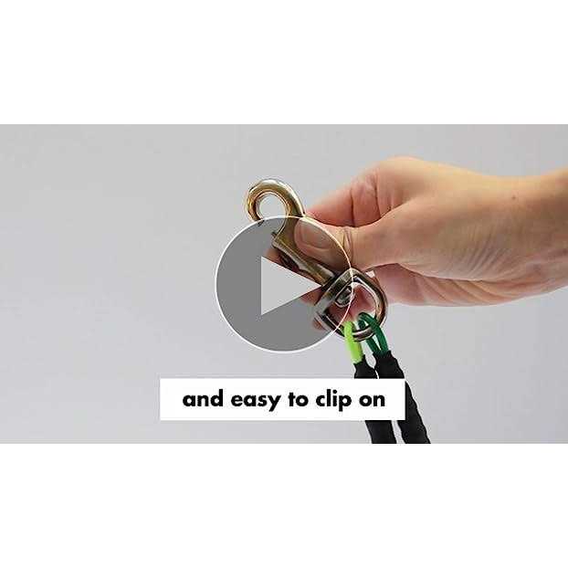 No Sit Dog Grooming Loop Restraint H39074