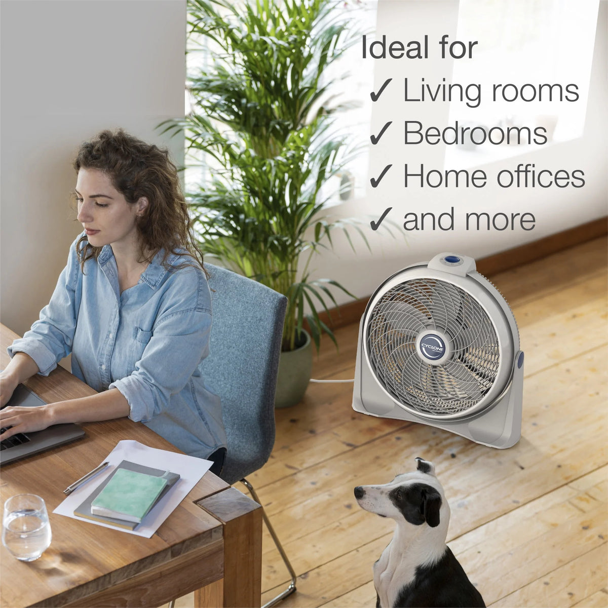 20 Inch Portable Pivoting Fan, White L857