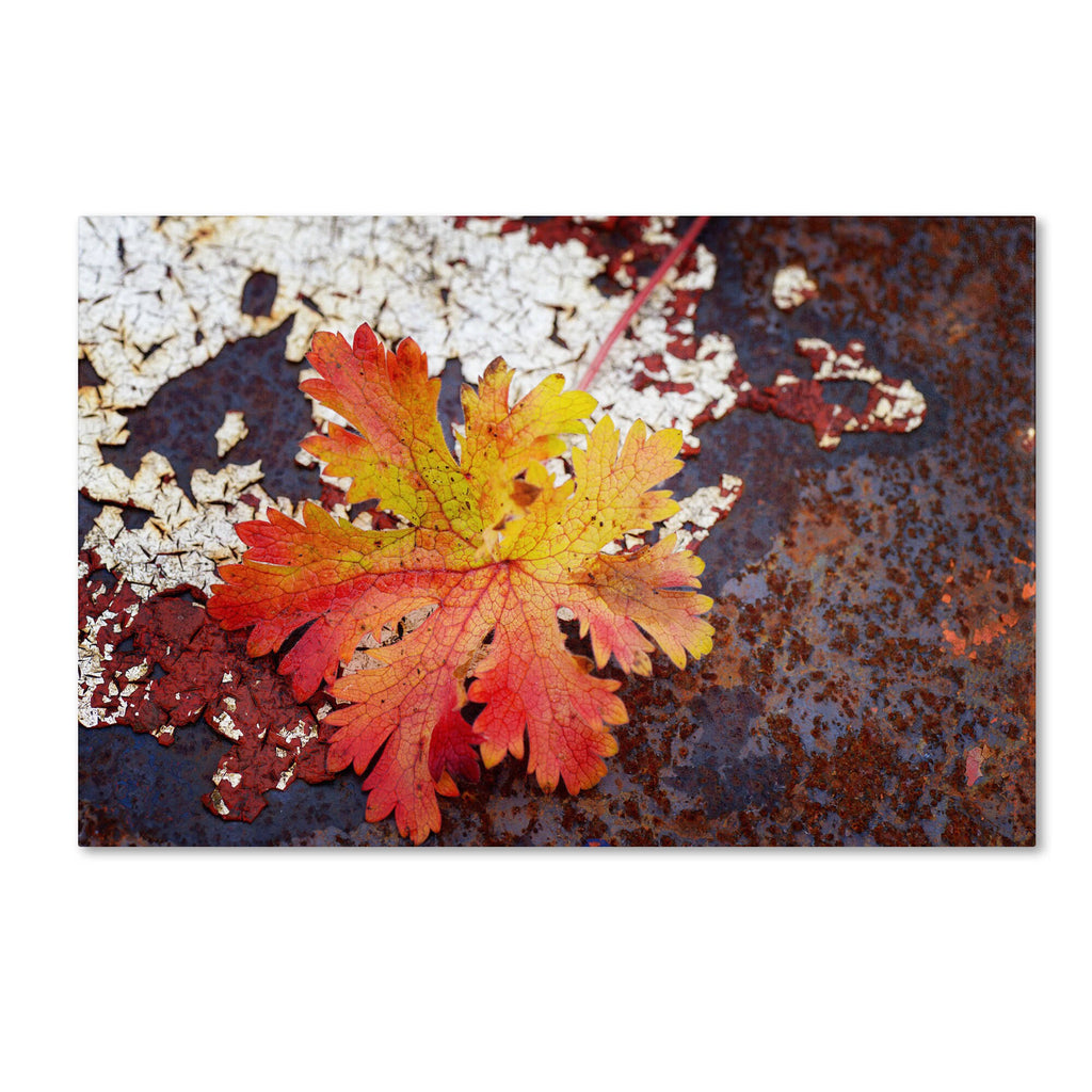 Autumn Rust Canvas Art J25765