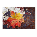 Autumn Rust Canvas Art J25765