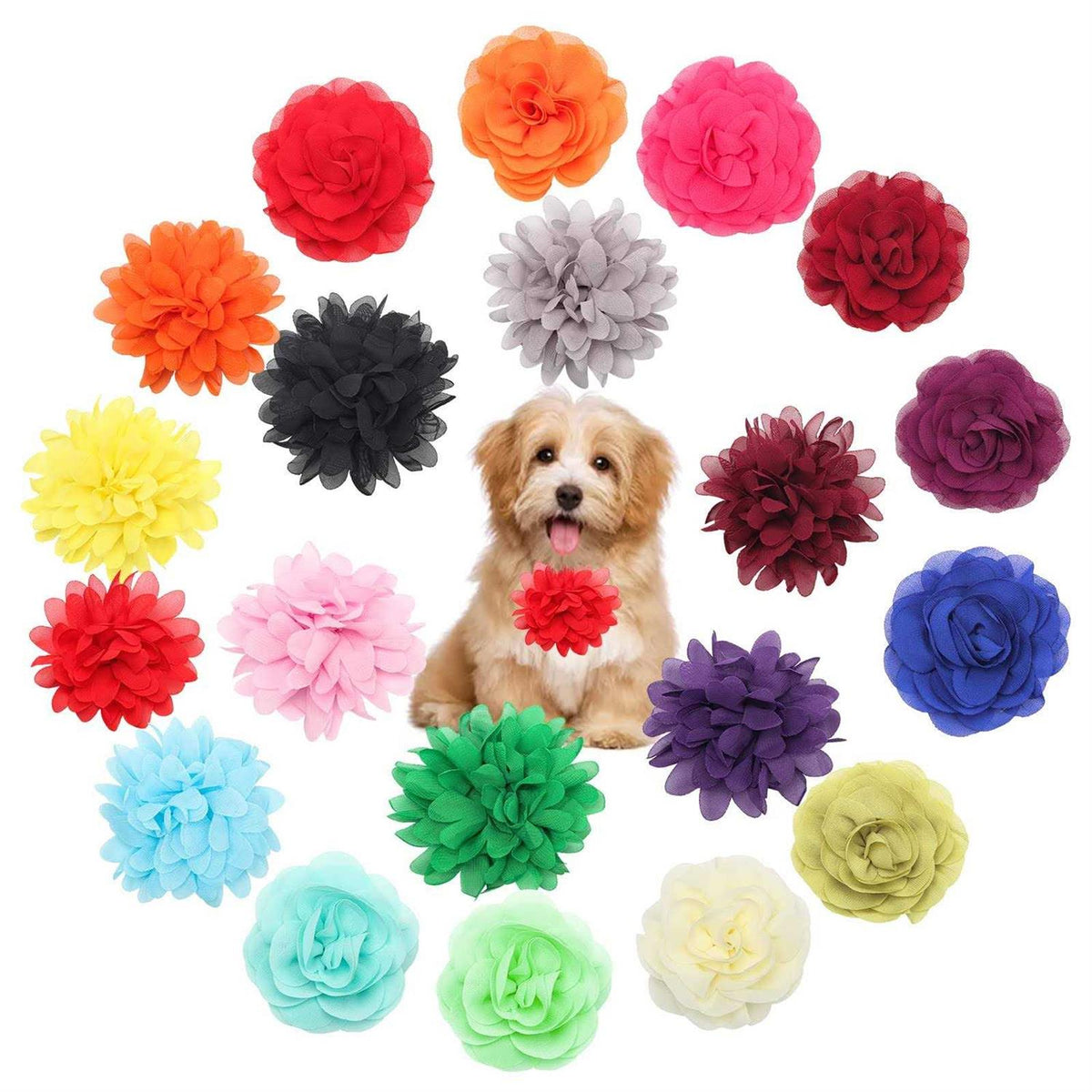 Multi-Color Soft Chiffon Dog Collar Accessory W7618
