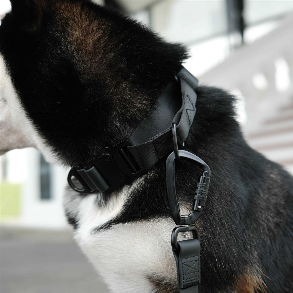 Waterproof Martingale Collar R5668