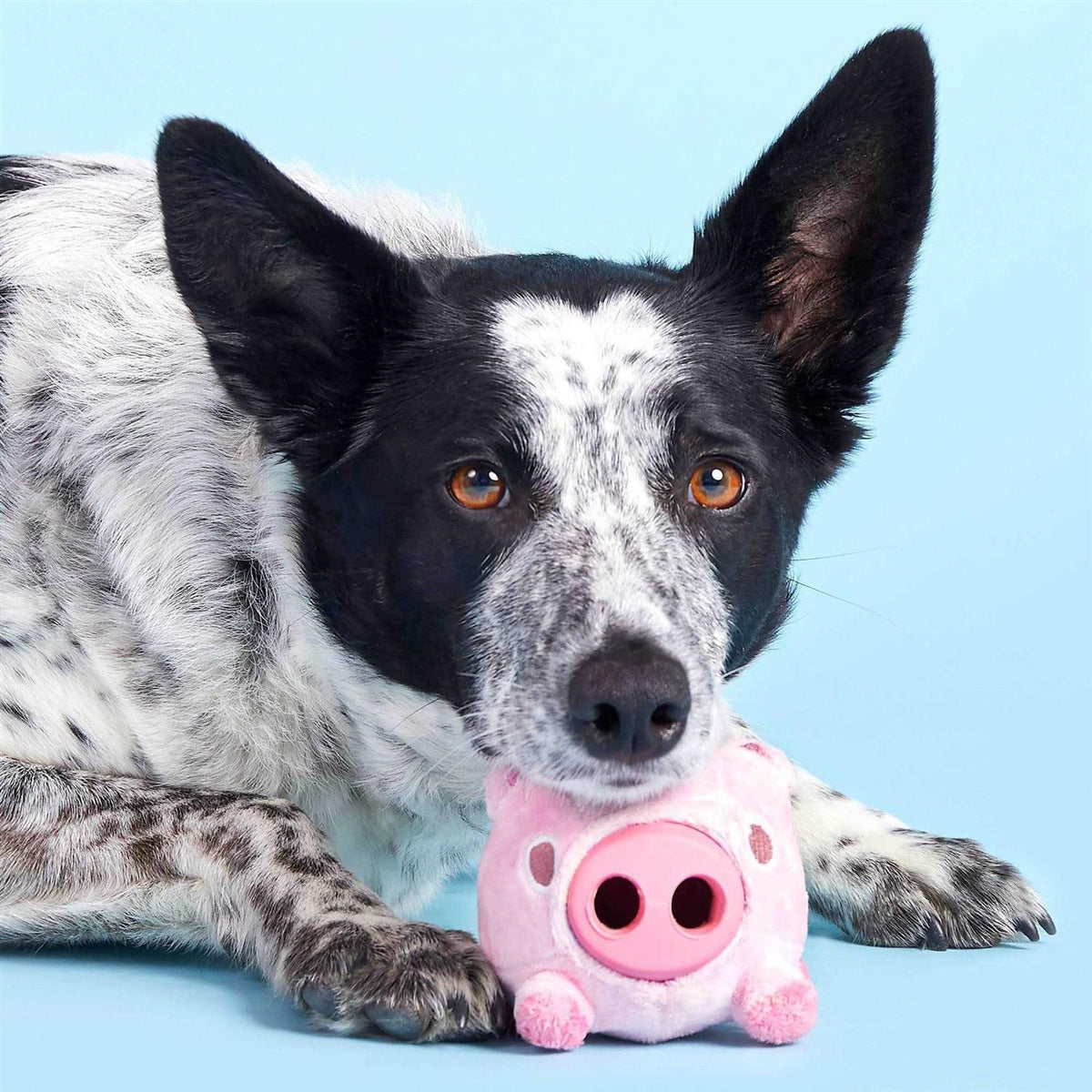 Super Chewer Pig Dog Toy H20026