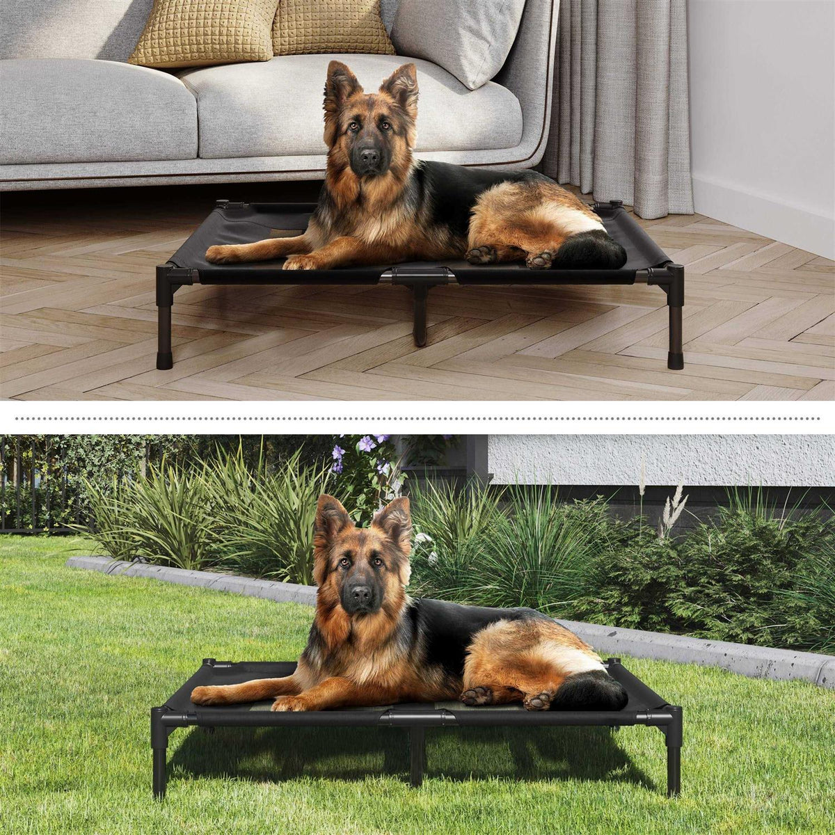 Cot-Style Elevated Pet Bed I229