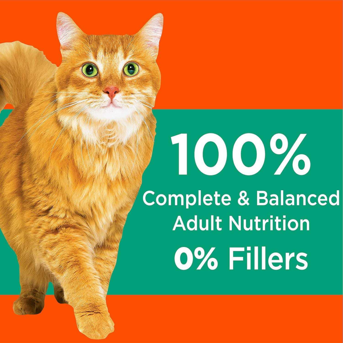 Adult Cat Dry Food G22973