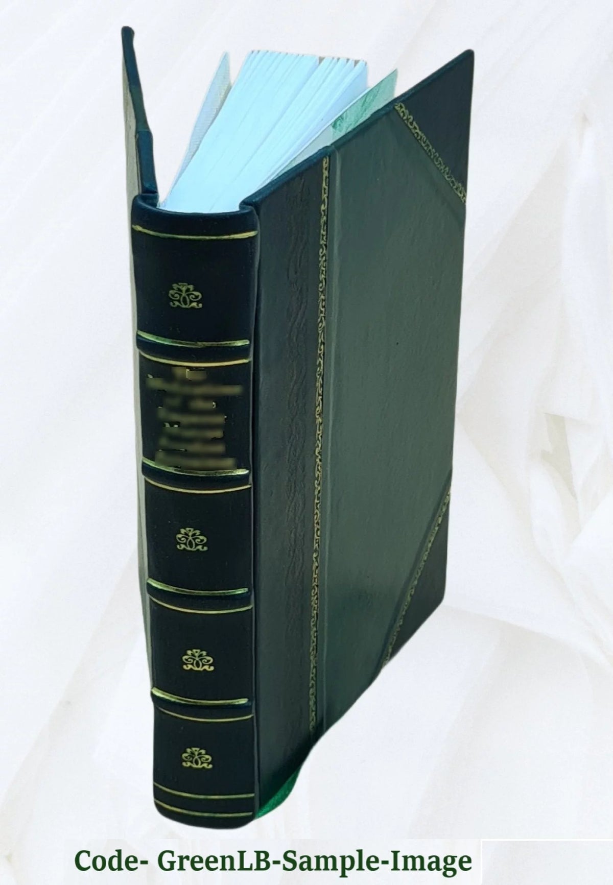 English Lessons Book F8278