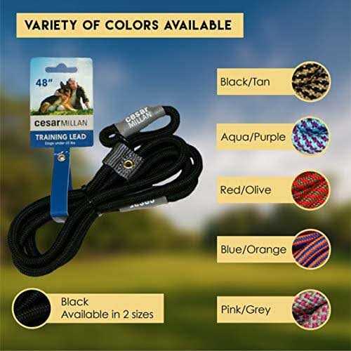 2-in-1 Slip Collar Dog Training Lead & Collar F8573