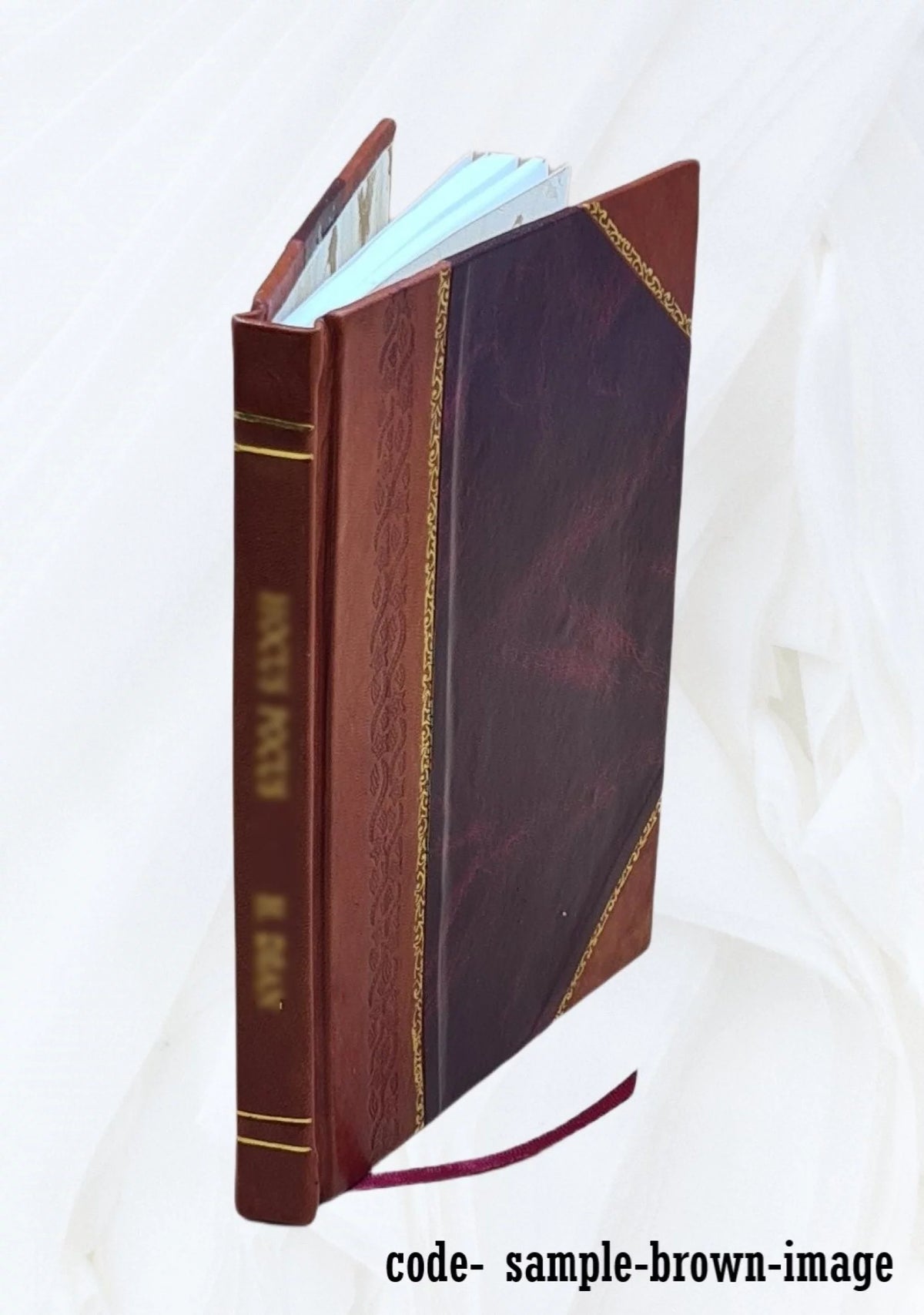 1917 Leather Bound Y6803